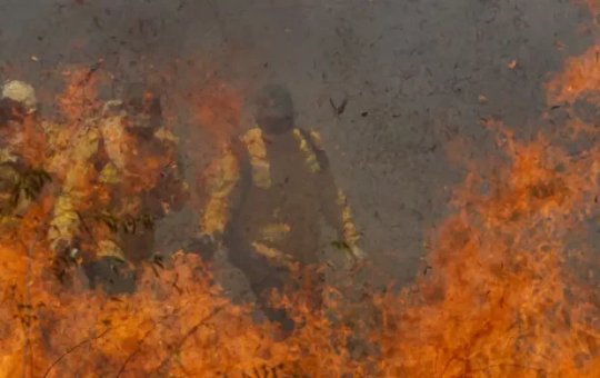 Governo libera R$ 137 milhões para combate a incêndios no Pantanal