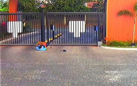 Pitbull ataca porteiro e adolescentes em condomínio de Feira de Santana