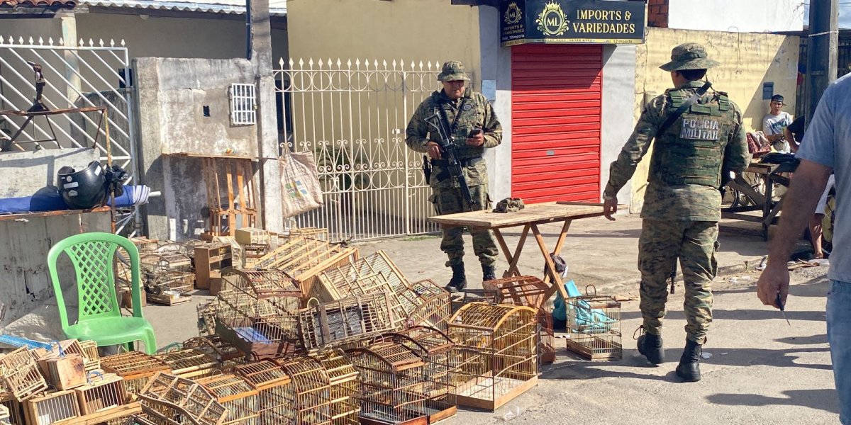 Polícia captura 15 homens com aves silvestres em Feira de Santana