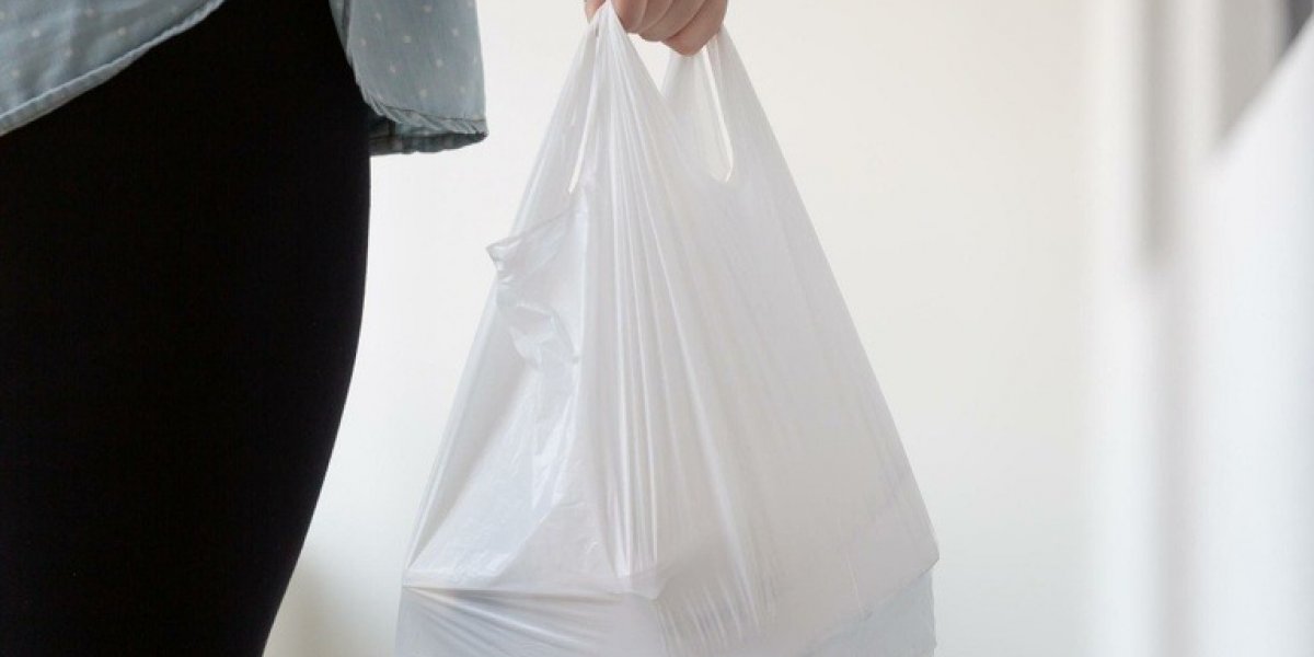 Codecon fiscaliza sacolas recicláveis após nova lei vigente em Salvador