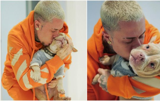 'Dor inexplicável': MC Daniel desabafa após pitbull morrer em acidente doméstico