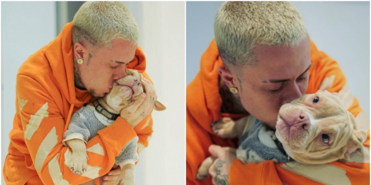 'Dor inexplicável': MC Daniel desabafa após pitbull morrer em acidente doméstico