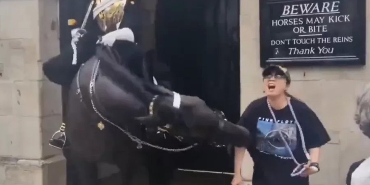 Turista é mordida por cavalo real em Londres