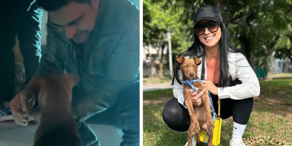 Zezé di Camargo adota cachorro após show em Minas Gerais