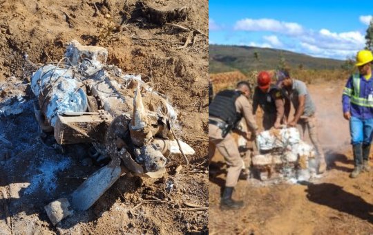 Motor de avião é encontrado 50 anos após acidente em Rio Pardo de Minas