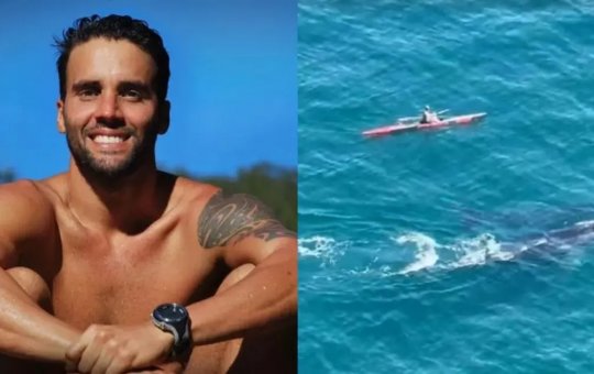 Daniel Cady encontra baleias durante esporte de canoa