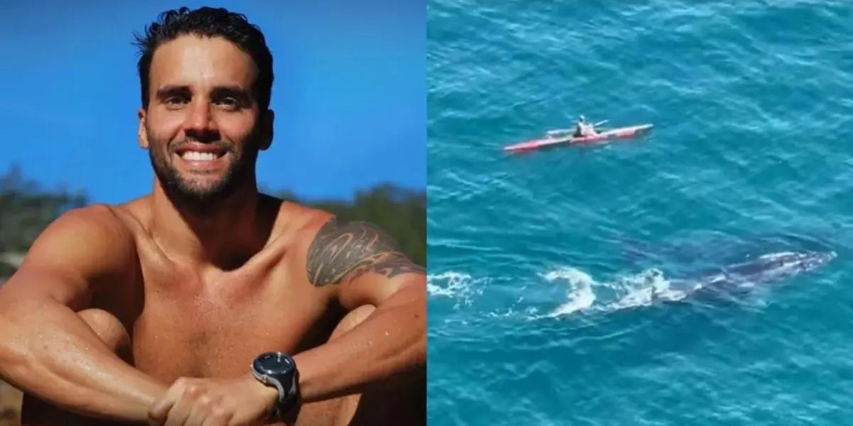 Daniel Cady encontra baleias durante esporte de canoa