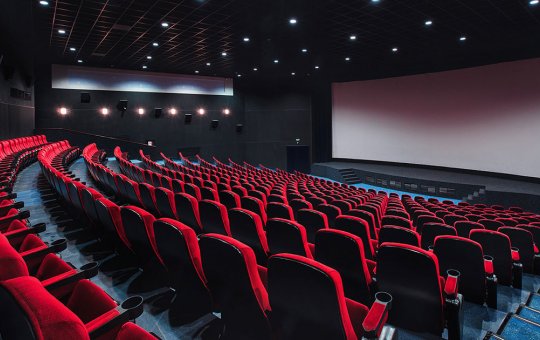 Cinema: "Tuesday - O Último Abraço" e "Filho De Boi" marcam o fim de semana