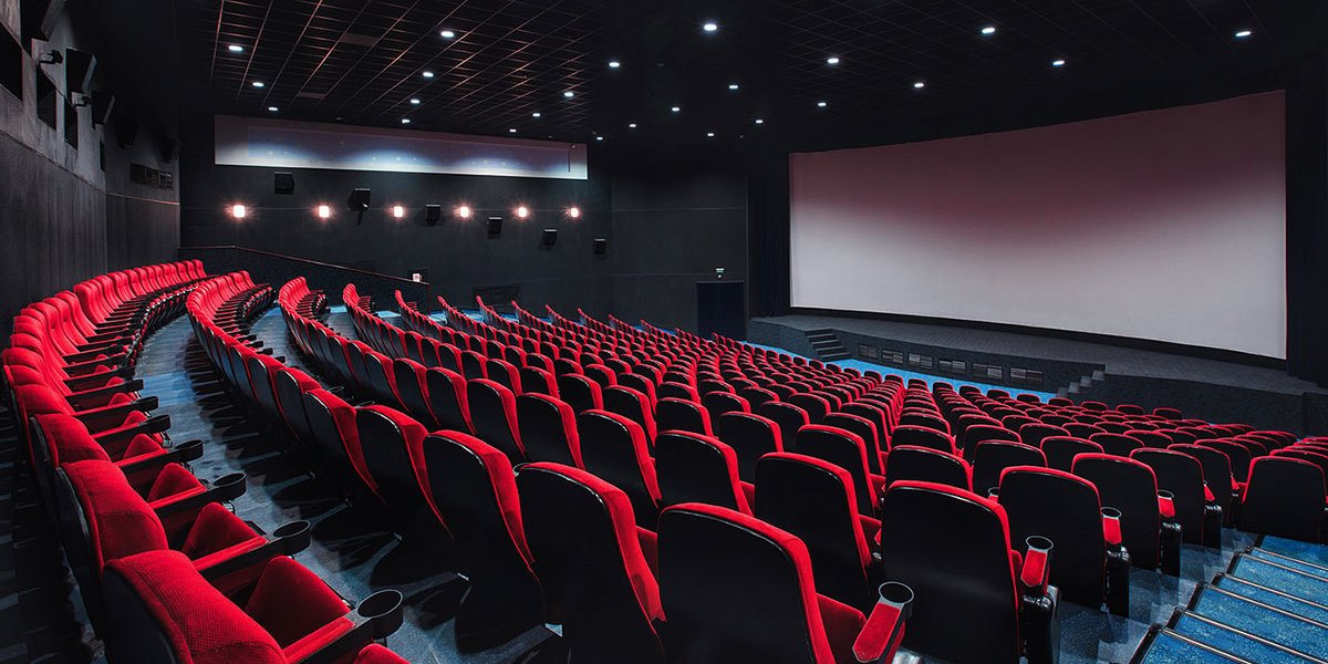 Cinema: "Tuesday - O Último Abraço" e "Filho De Boi" marcam o fim de semana