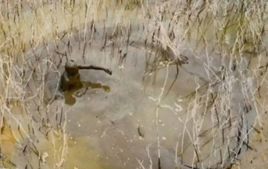 Três dias atolado: pescador fica preso após seca de rio no Amazonas
