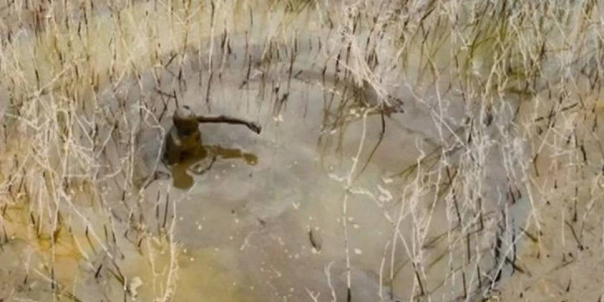 Três dias atolado: pescador fica preso após seca de rio no Amazonas