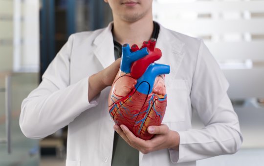 Aneurisma da aorta: causas, tratamentos e prevenção