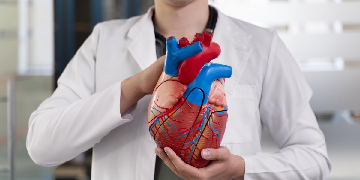 Aneurisma da aorta: causas, tratamentos e prevenção