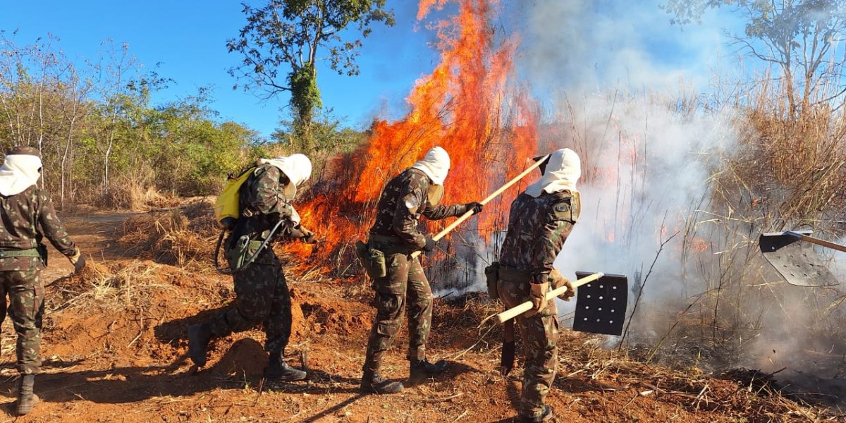 Corpo de Bombeiros conclui capacitação de brigadistas florestais voluntários