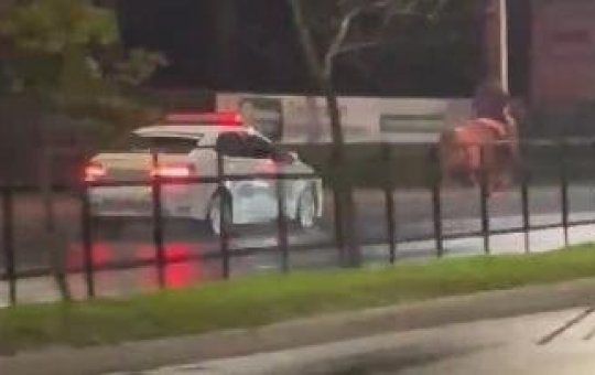 Homem utiliza cavalo para fugir da polícia em Porto Alegre