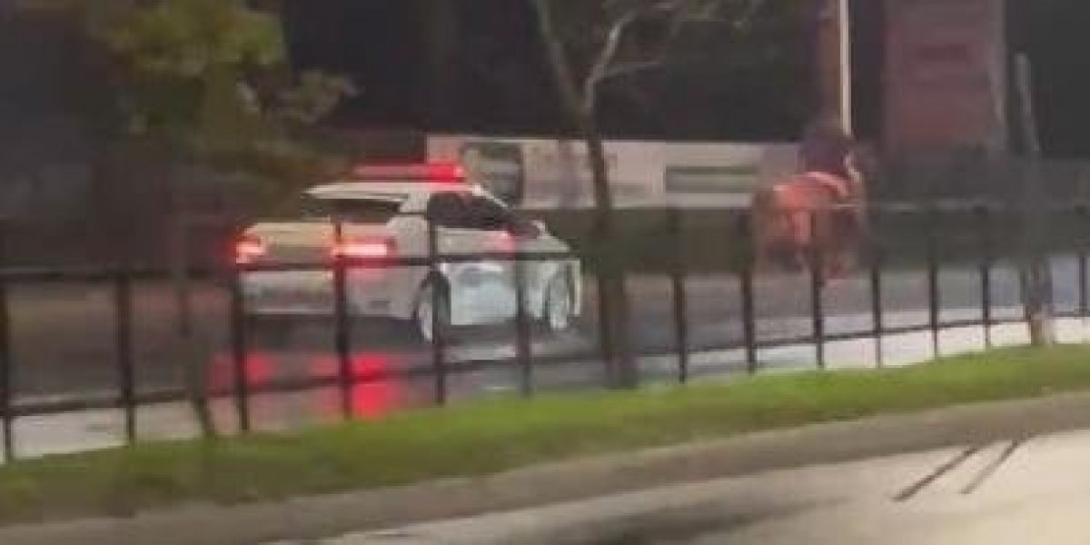 Homem utiliza cavalo para fugir da polícia em Porto Alegre