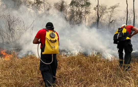 Brasil e Bolívia se unem contra incêndios em fronteira