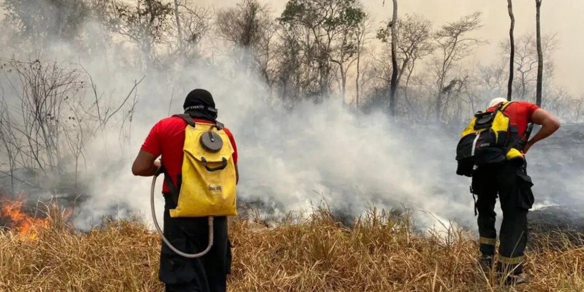 Brasil e Bolívia se unem contra incêndios em fronteira