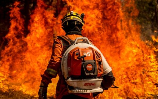 Queimadas se espalham pelo Brasil: Entenda as causas e consequências