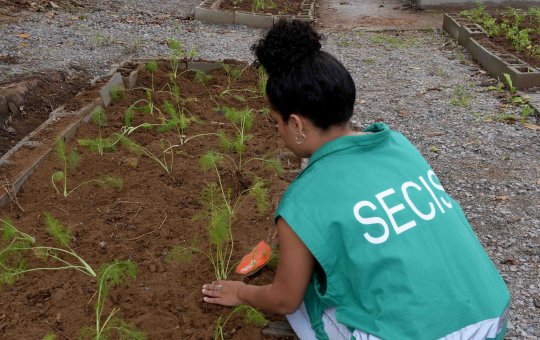 Prefeitura instala Horta Comercial no bairro de Coutos