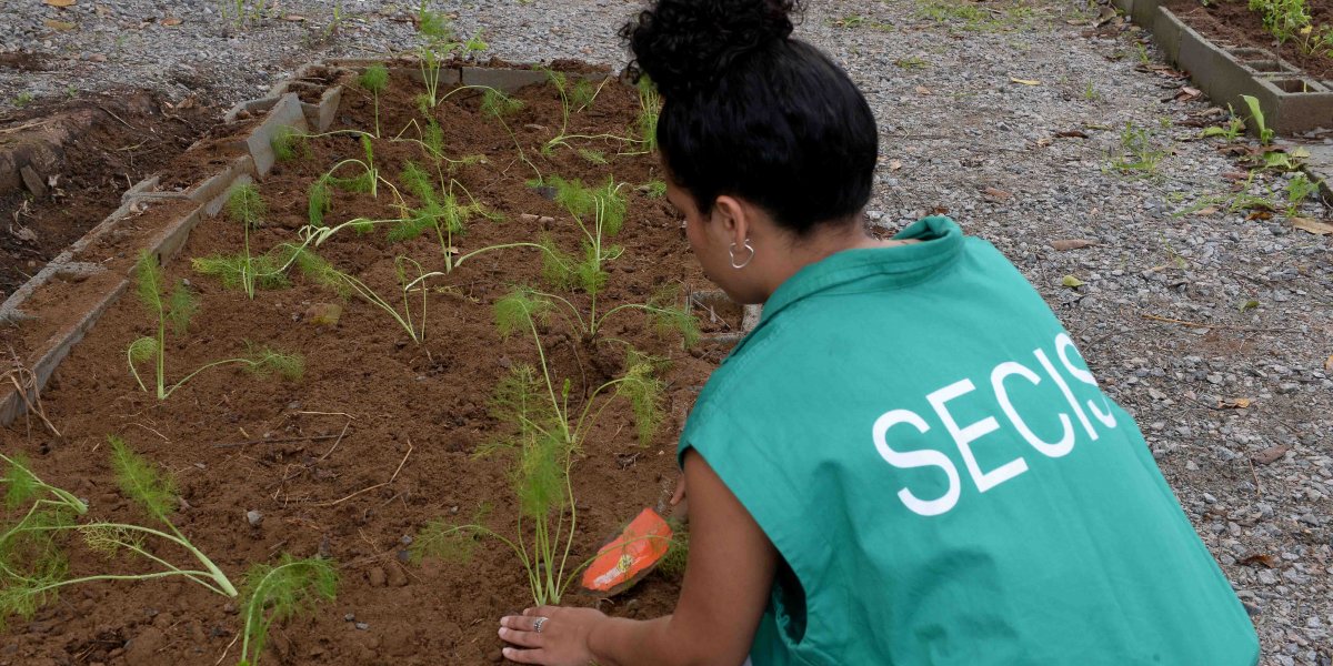 Prefeitura instala Horta Comercial no bairro de Coutos