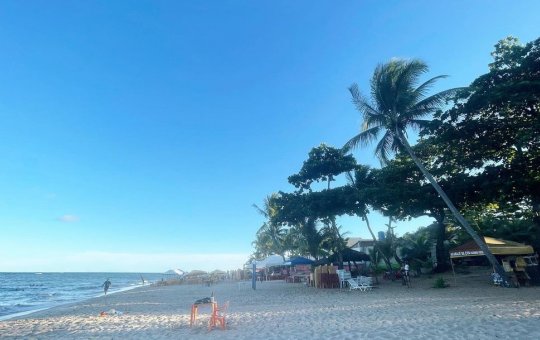 Vídeo: Pescador é atacado por tubarão na Praia da Espera
