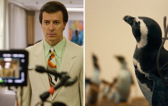 Estreias da Semana: Silvio Santos e Meu Amigo Pinguim marcam as telonas