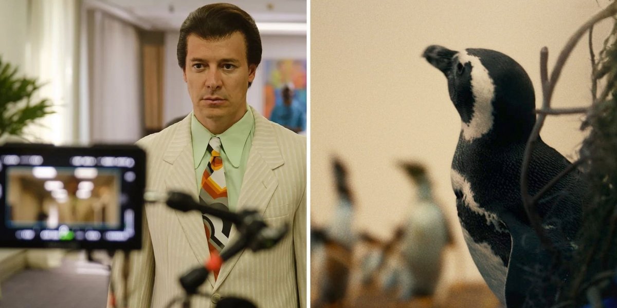 Estreias da Semana: Silvio Santos e Meu Amigo Pinguim marcam as telonas