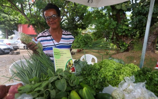SPM promove edital de R$ 3 milhões destinados às mulheres do campo