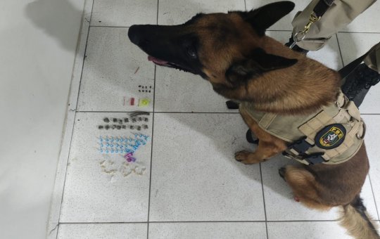 Cão da policia militar encontra drogas no município de Santa Cruz Cabrália