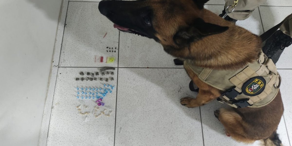 Cão da policia militar encontra drogas no município de Santa Cruz Cabrália