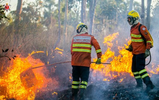 Incêndios florestais causam complicações à saúde dos brasileiros