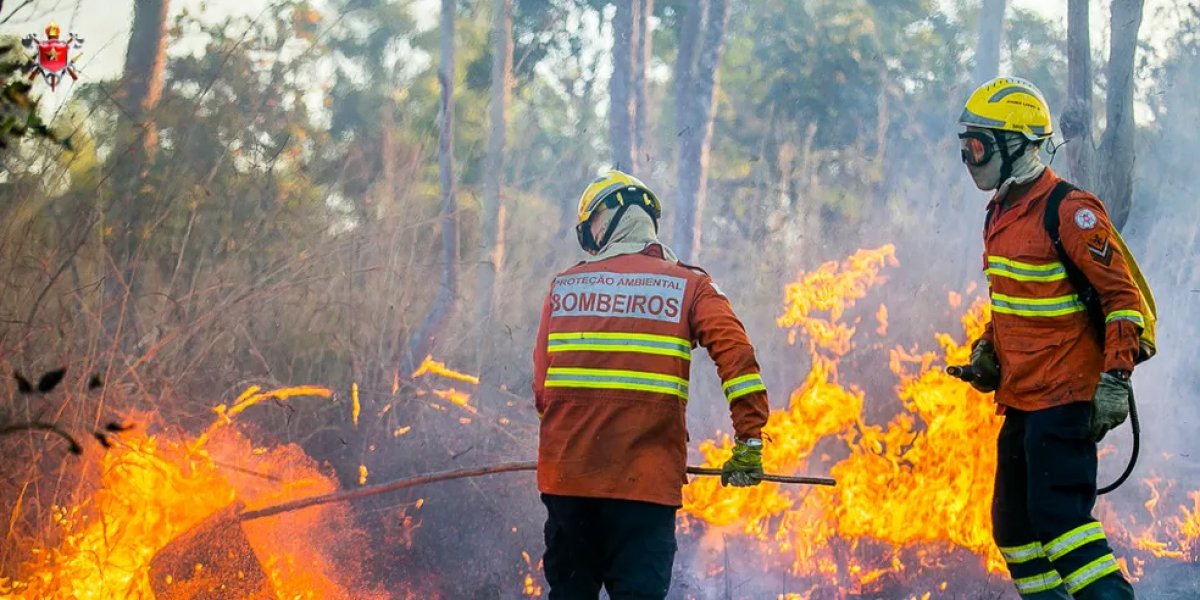 Incêndios florestais causam complicações à saúde dos brasileiros