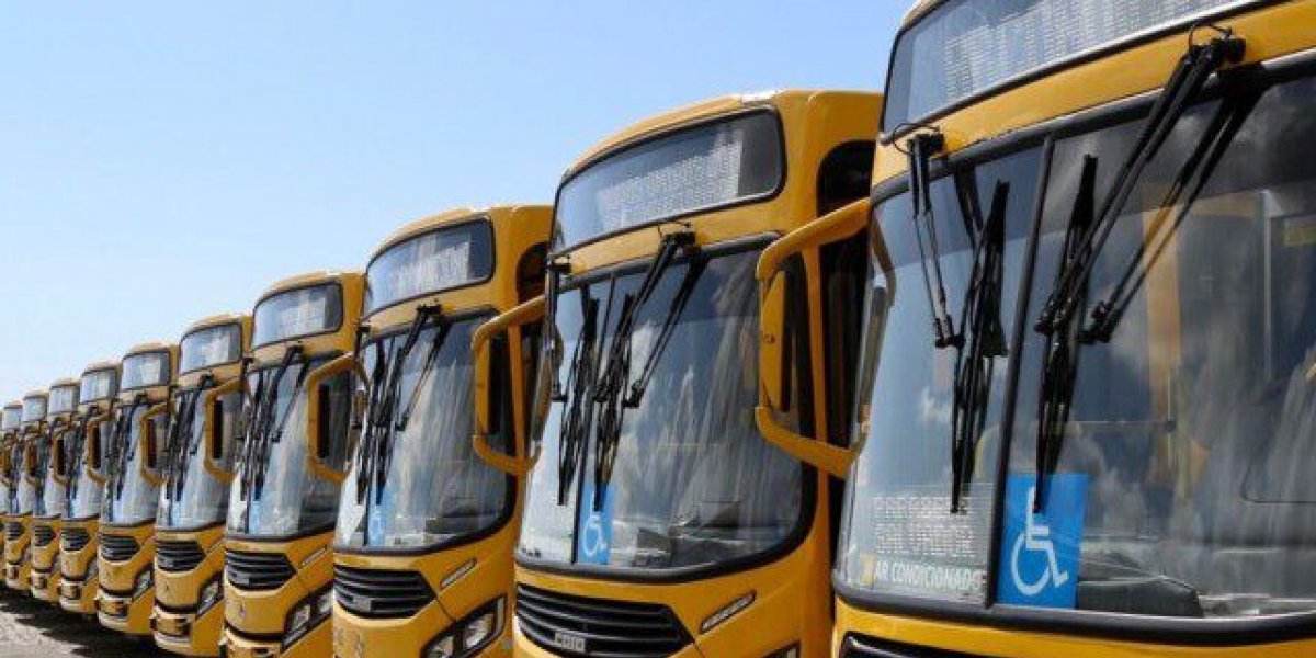 Ônibus voltam a circular em Vista Alegre