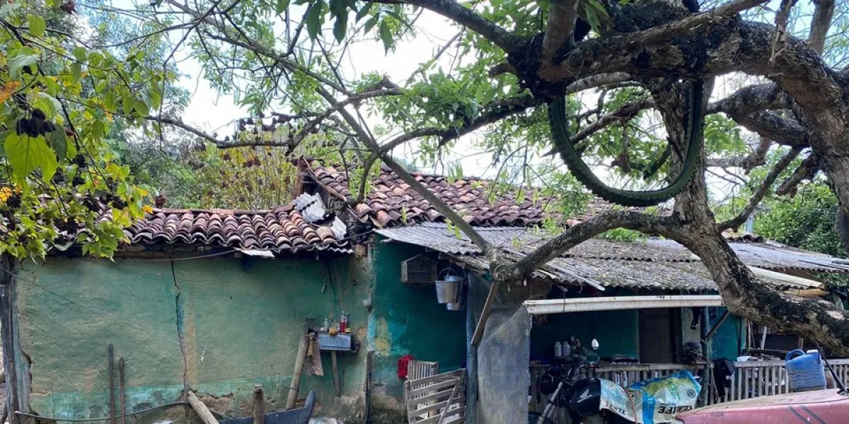 Mulher é resgatada após 10 anos em cativeiro na Bahia