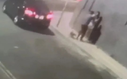 Homens roubam e devolvem cachorro no bairro da Graça; veja vídeo
