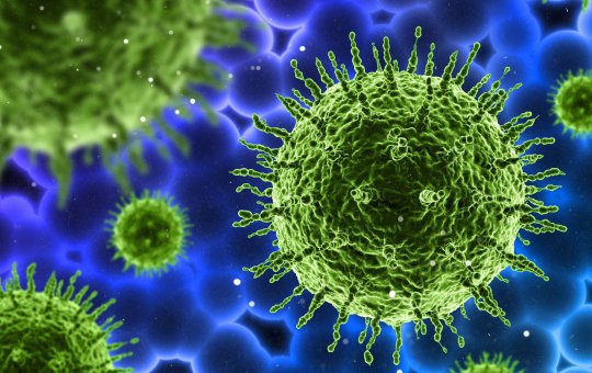 Botulismo: Um perigo silencioso e oculto; entenda