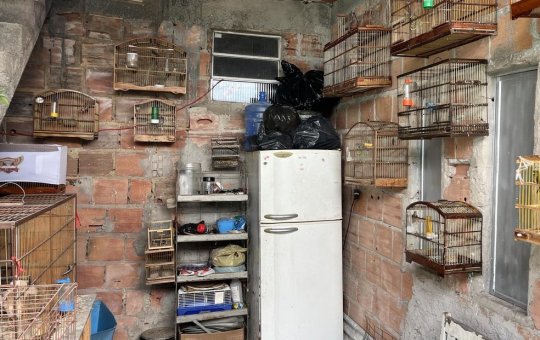 Homem é multado em R$ 29 mil por crime ambiental em Salvador