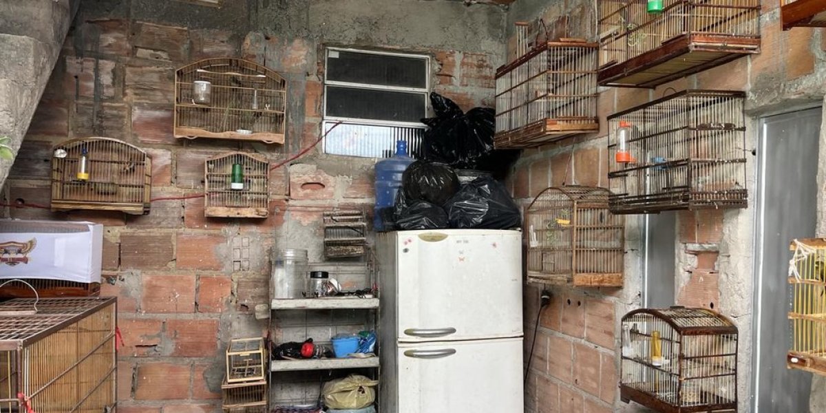 Homem é multado em R$ 29 mil por crime ambiental em Salvador