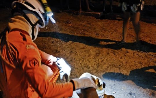 Cachorro é resgatado por bombeiros militares do 20º BBM