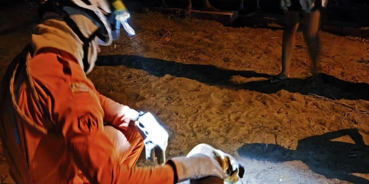Cachorro é resgatado por bombeiros militares do 20º BBM