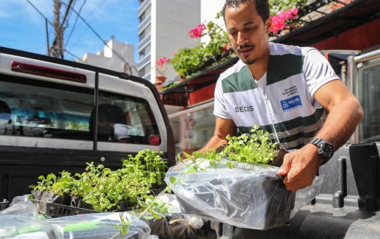 Secis lança nova edição de projeto "Horta em casa"; saiba como se inscrever