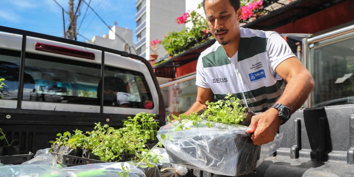 Secis lança nova edição de projeto "Horta em casa"; saiba como se inscrever