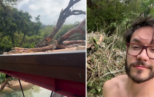 Vihh Tube tem casa atingida por árvore durante fortes chuvas