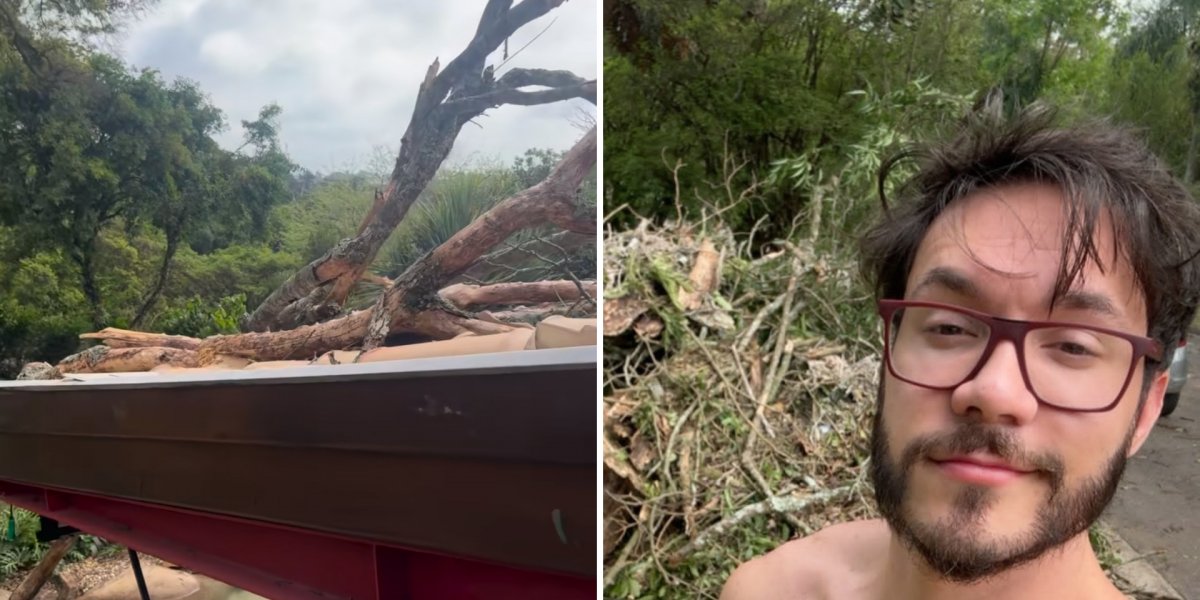 Vihh Tube tem casa atingida por árvore durante fortes chuvas