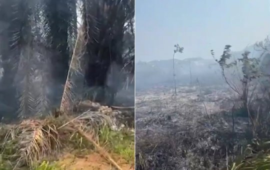 Reserva indígena é atingida por incêndio em Camaçari
