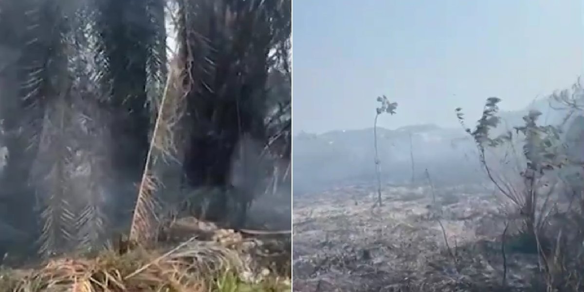 Reserva indígena é atingida por incêndio em Camaçari
