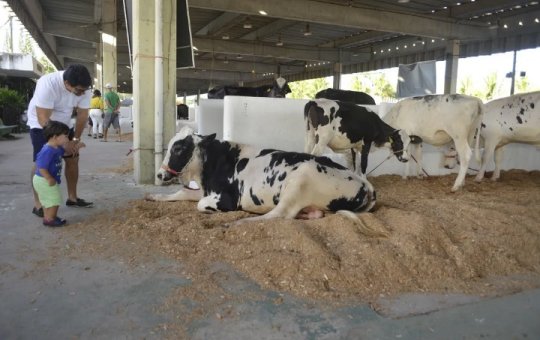 Fenagro 2024: 33ª edição traz inovações e atrações para todo público