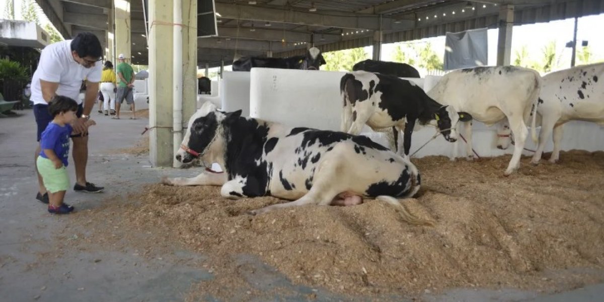 Fenagro 2024: 33ª edição traz inovações e atrações para todo público