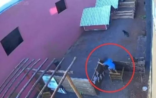 Criança que matou animais em fazendinha disse que não foi a primeira vez